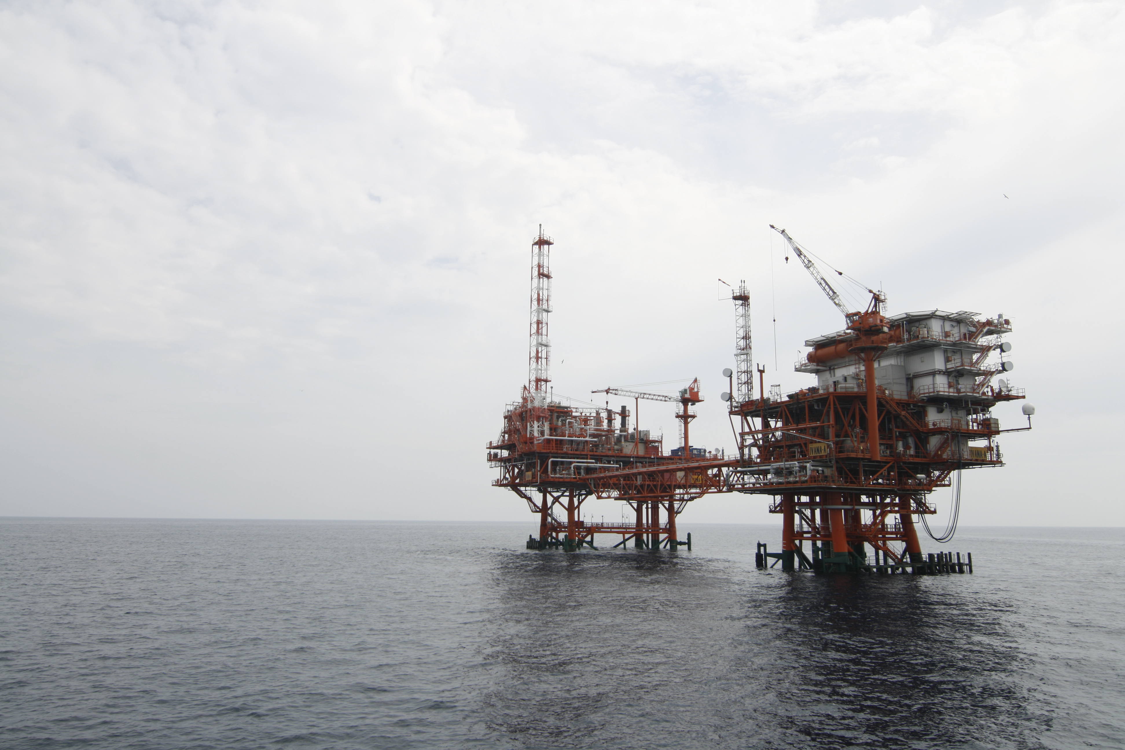 بهترین خدمات و محصولات را از ما بخواهید